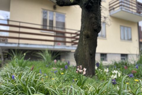 Villa a Udine, Udine, Udine - € 248.000 | Ref: Casa con scoperto - foto 5