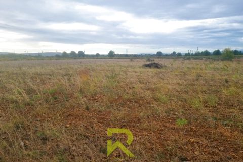 Terra a Canet, Aude, Canet - € 18.500 | Ref: 7_RVTE1010007724 - foto 2