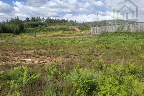 Terra a Arganil, Coimbra, Arganil - € 28.750 | Ref: 715MM - foto 10