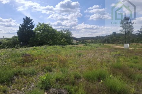 Terra a Arganil, Coimbra, Arganil - € 28.750 | Ref: 715MM - foto 12