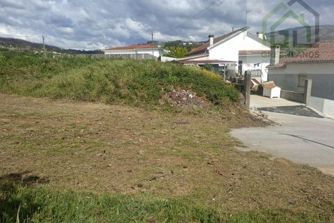 Terra a Arganil, Coimbra, Arganil - € 28.750 | Ref: 715MM - foto 21