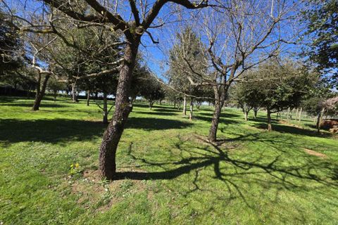 Landejendom i Cellefrouin, Charente, Cellefrouin - € 185.000 | Ref: 3011444159 - foto 17