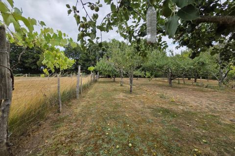 Landejendom i Cellefrouin, Charente, Cellefrouin - € 185.000 | Ref: 3011444159 - foto 20