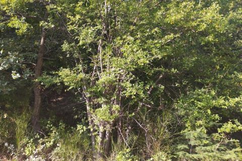 Helårsgrund i Ispagnac, Lozere, Ispagnac - € 8.600 | Ref: 191103 - foto 3