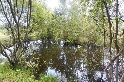 Villa i Saint-Mars-la-Brière, Sarthe, Saint-Mars-la-Brière - € 236.000 | Ref: 203621 - foto 12