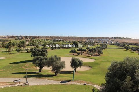 Villa i Algorfa, Alicante, Algorfa - € 377 000 | Ref: CH-51732 - foto 14