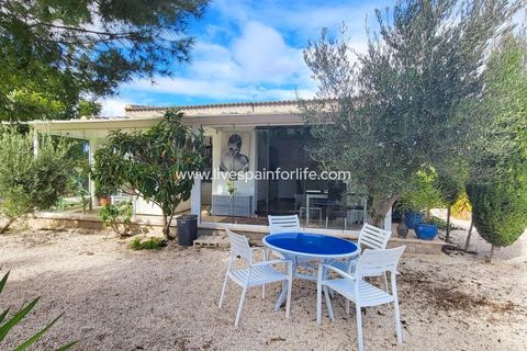 Villa i Aspe, Alicante, Aspe - € 279.999 | Ref: CH-41920 - foto 42