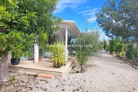 Villa i Aspe, Alicante, Aspe - € 279.999 | Ref: CH-41920 - foto 43