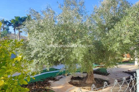 Villa i Aspe, Alicante, Aspe - € 360.000 | Ref: CH-86048 - foto 14