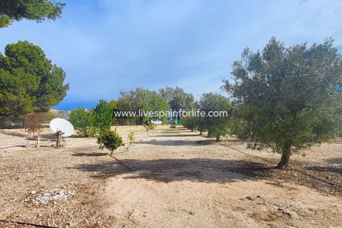 Landejendom i Monovar, Alicante, Monovar - € 115.000 | Ref: CH-84810 - foto 6