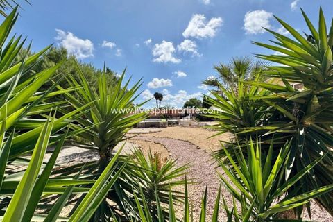Landejendom i Dolores, Alicante, Dolores - € 425.000 | Ref: DOL RY1-D - foto 10