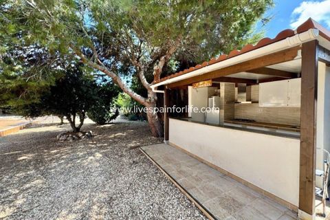 Landejendom i Dolores, Alicante, Dolores - € 425.000 | Ref: DOL RY1-D - foto 25