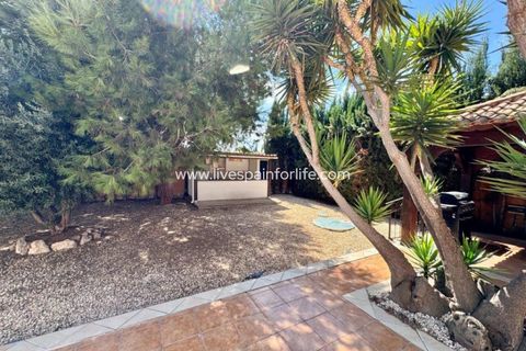 Landejendom i Dolores, Alicante, Dolores - € 425.000 | Ref: DOL RY1-D - foto 50