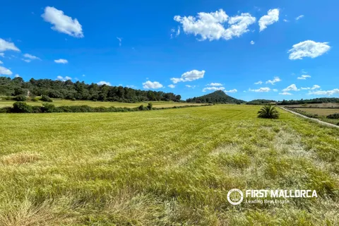 Finca in Sineu, Mallorca - Foto 3