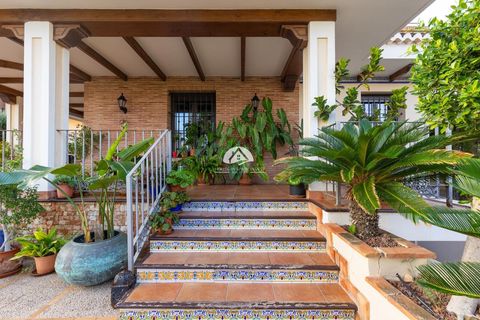 Villa i Torrevieja, Alicante, Torrevieja - € 2.490.000 | Ref: PM-62950 - foto 15