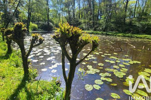 Villa a Corcoue-sur-Logne, Loire-Atlantique, Corcoue-sur-Logne - € 597.000 | Ref: 68576 - foto 19