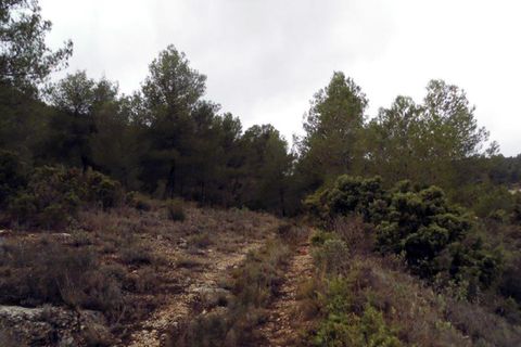Landejendom i Monovar, Alicante, Monovar - € 78.000 | Ref: CF674 - foto 6