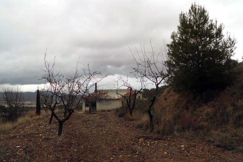 Landejendom i Monovar, Alicante, Monovar - € 78.000 | Ref: CF674 - foto 7