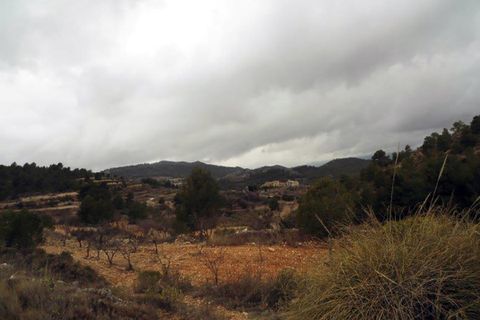 Landejendom i Monovar, Alicante, Monovar - € 78.000 | Ref: CF674 - foto 8