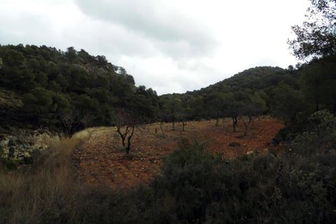 Landejendom i Monovar, Alicante, Monovar - € 78.000 | Ref: CF674 - foto 9