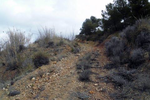 Landejendom i Monovar, Alicante, Monovar - € 78.000 | Ref: CF674 - foto 15