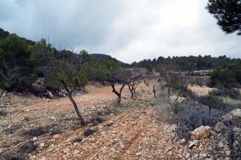 Landejendom i Monovar, Alicante, Monovar - € 78.000 | Ref: CF674 - foto 23