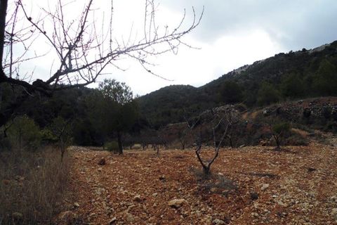 Landejendom i Monovar, Alicante, Monovar - € 78.000 | Ref: CF674 - foto 28