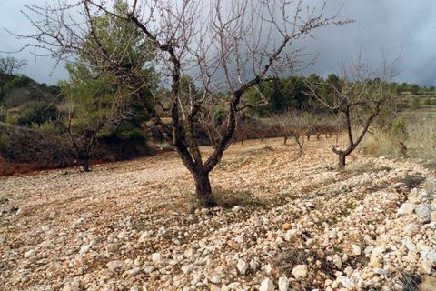 Landejendom i Monovar, Alicante, Monovar - € 78.000 | Ref: CF674 - foto 30