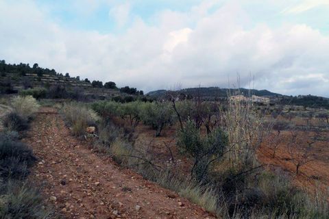 Landejendom i Monovar, Alicante, Monovar - € 78.000 | Ref: CF674 - foto 48