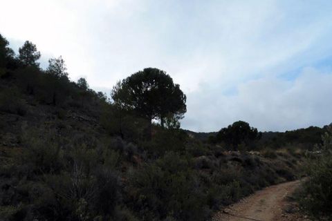 Landejendom i Monovar, Alicante, Monovar - € 78.000 | Ref: CF674 - foto 49