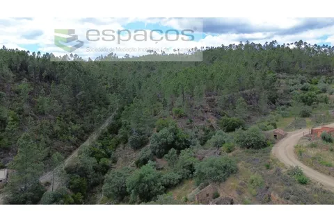 Helårsgrund i Castelo Branco, Castelo Branco, Castelo Branco - € 11.500 | Ref: 5546/EG - foto 10