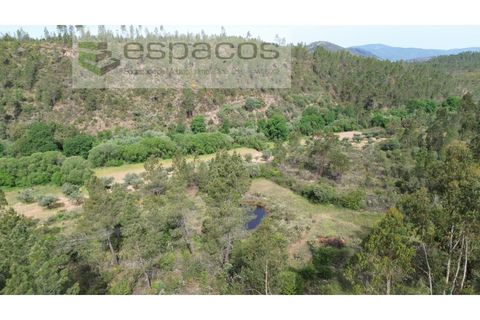 Terra a Castelo Branco, Castelo Branco, Castelo Branco - € 10.900 | Ref: 5545/EG - foto 2