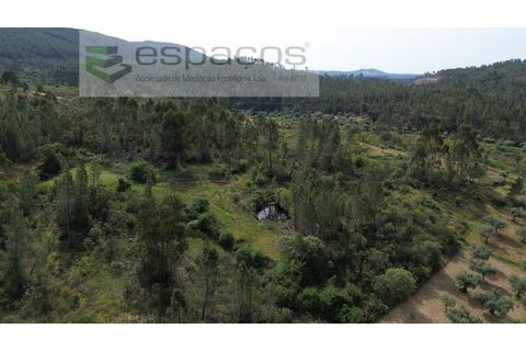Terra a Castelo Branco, Castelo Branco, Castelo Branco - € 10.900 | Ref: 5545/EG - foto 3