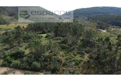 Terra a Castelo Branco, Castelo Branco, Castelo Branco - € 10.900 | Ref: 5545/EG - foto 4