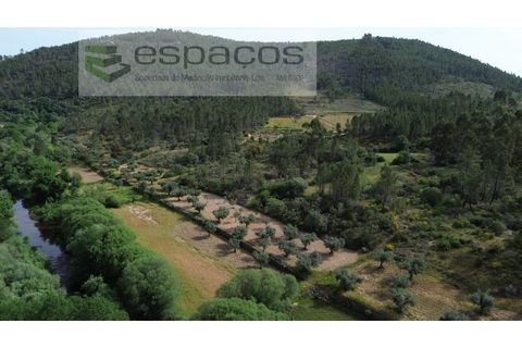 Terra a Castelo Branco, Castelo Branco, Castelo Branco - € 10.900 | Ref: 5545/EG - foto 5