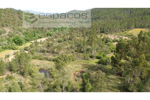 Terra a Castelo Branco, Castelo Branco, Castelo Branco - € 10.900 | Ref: 5545/EG - foto 6