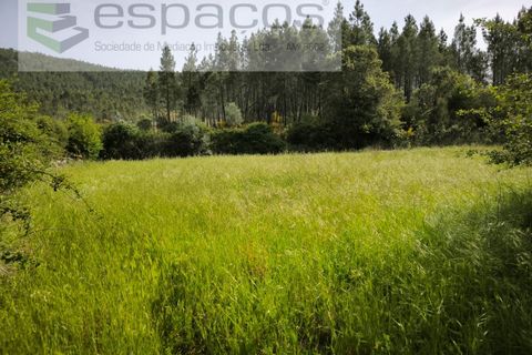 Terra a Castelo Branco, Castelo Branco, Castelo Branco - € 10.900 | Ref: 5545/EG - foto 7