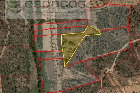 Terra a Castelo Branco, Castelo Branco, Castelo Branco - € 10.900 | Ref: 5545/EG - foto 10