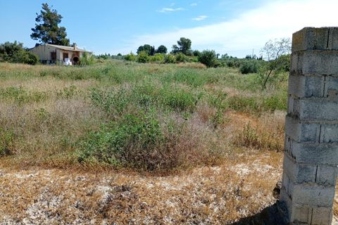 Helårsgrund i Lorqui, Murcia, Lorqui - € 150.000 | Ref: EXP14121/8930 - foto 2