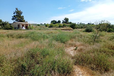 Helårsgrund i Lorqui, Murcia, Lorqui - € 150.000 | Ref: EXP14121/8930 - foto 10
