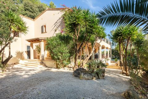 Villa a Sa Pobla, Mallorca, Sa Pobla - € 1.295.000 | Ref: SVIA1115 - foto 3