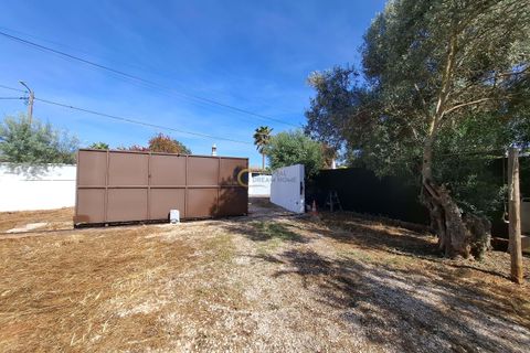 Terra a Paderne, Faro, Paderne - € 300.000 | Ref: CM137 - foto 3