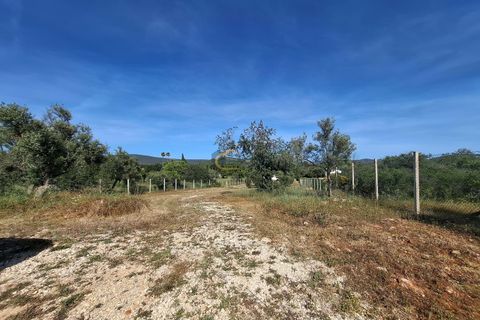 Terra a Paderne, Faro, Paderne - € 300.000 | Ref: CM137 - foto 23