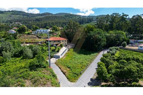 Helårsgrund i Ponte de Lima, Viana do Castelo, Ponte de Lima - € 69.500 | Ref: V487 - foto 2