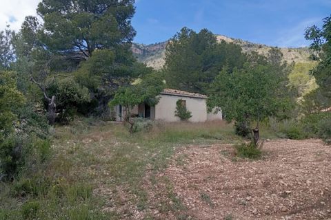 Landejendom i Salinas, Alicante, Salinas - € 86.000 | Ref: P5479 - foto 1