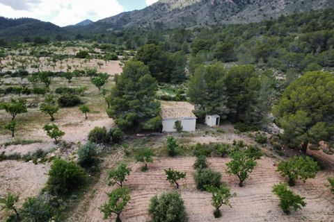 Landejendom i Salinas, Alicante, Salinas - € 86.000 | Ref: P5479 - foto 3