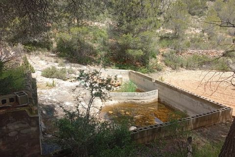 Landejendom i Salinas, Alicante, Salinas - € 86.000 | Ref: P5479 - foto 5