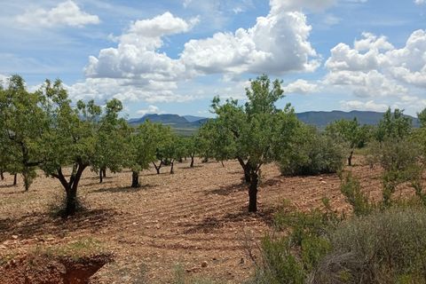 Landejendom i Salinas, Alicante, Salinas - € 86.000 | Ref: P5479 - foto 6