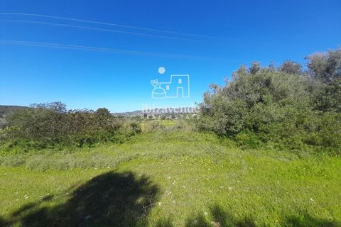 Finca i San Antonio De Portmany, Ibiza - foto 4