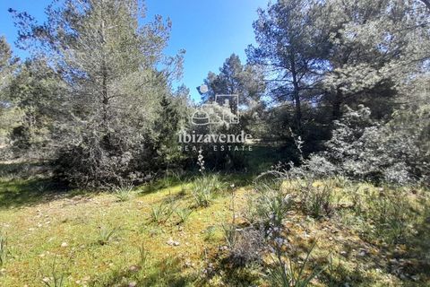 Finca i San Antonio De Portmany, Ibiza - foto 5